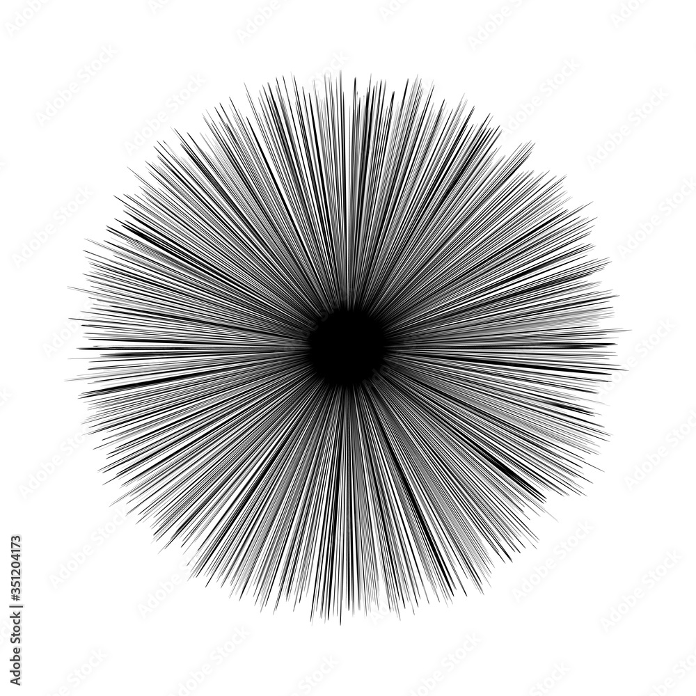 black lines circle shape isolated on white background, sea urchin graphic lines shape black color, fireworks burst out exploration shape, black and white lines explosion hypnotic concept