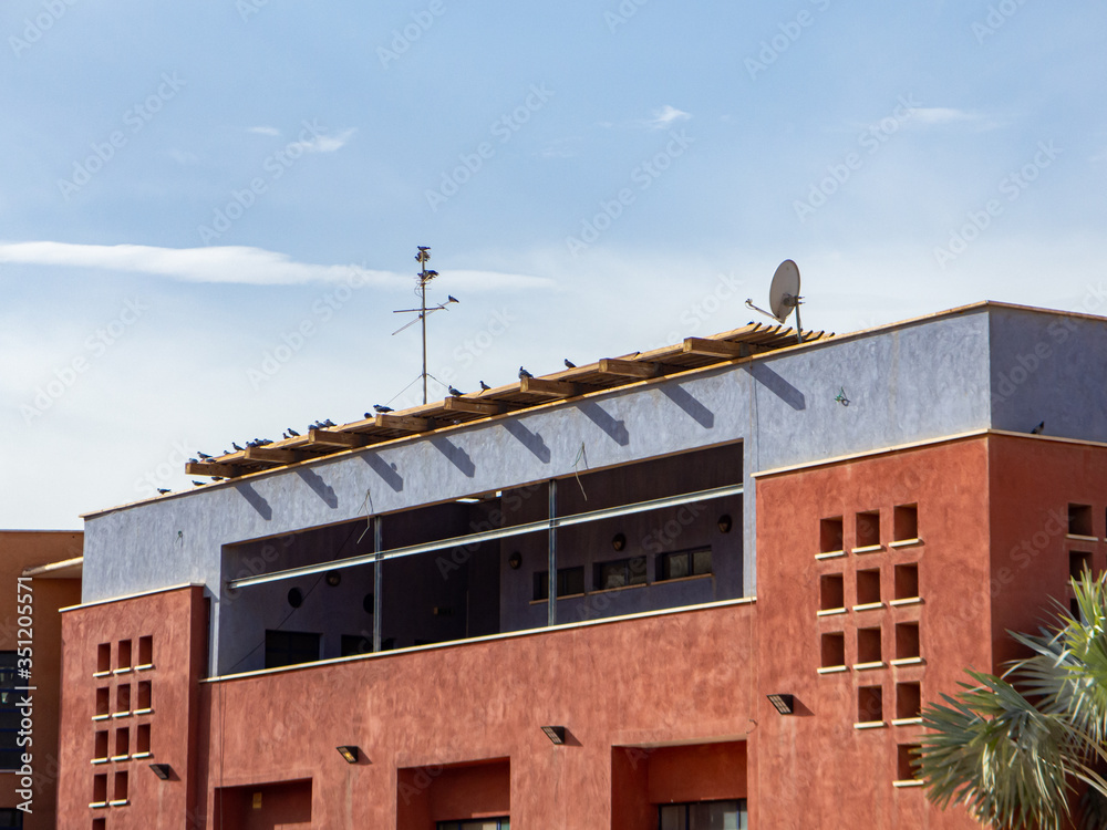 pigeons gather on roof of a building pigeons gather on roof of a building