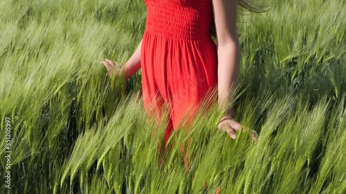 Girl or young woman standing among the growing green cereal ears - enjoy the sunshine in a barley or triticale field, static camera, medium close up