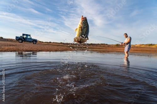 Fotografia, Obraz Big Bass Large mouth - Fishing on lake