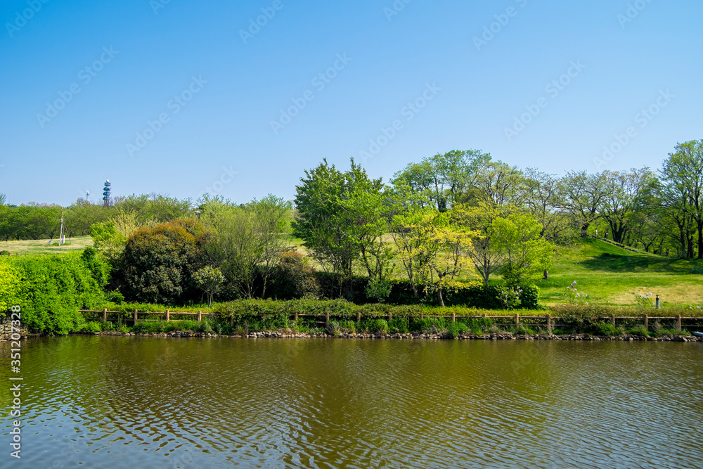 池に映る丘の新緑の桜の木々