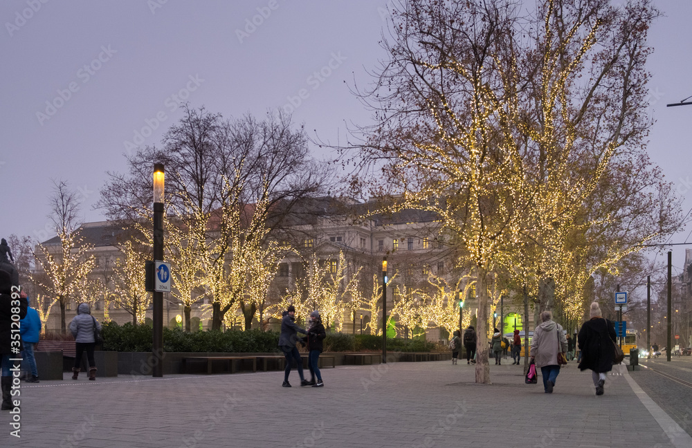 Christmas illuminated trees next to Budapest parliament Christmas illuminated trees next to Budapest parliament