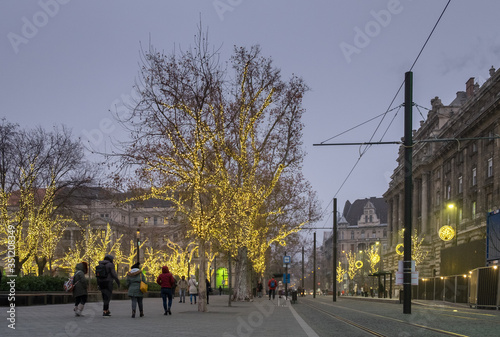Photography Christmas illuminated trees next to Budapest parliament
