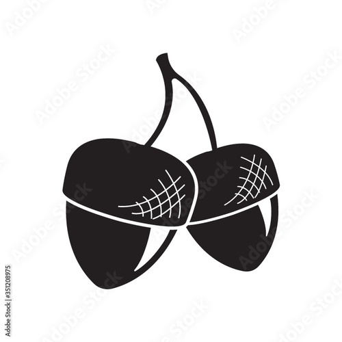 acorn