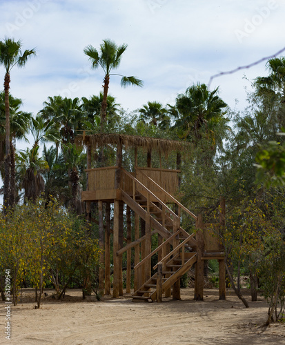 wooden house in the jungle