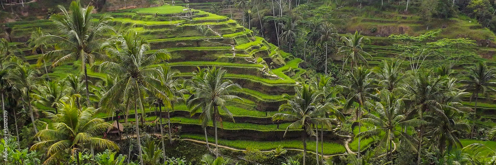 Aerial view of rice terraces. Jatiluwih rise terrace, Bali, Indonesia