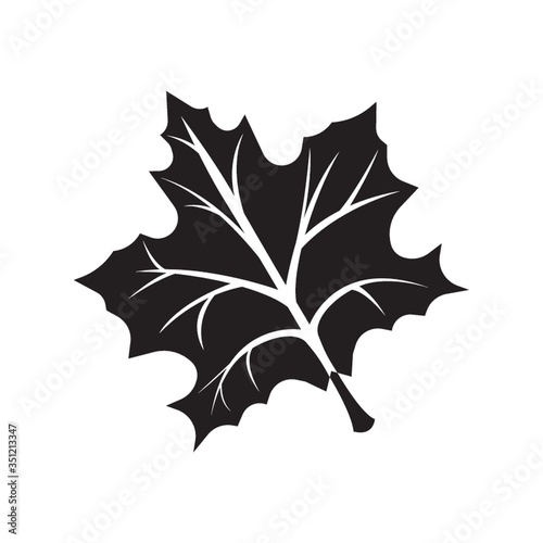 maple leaf