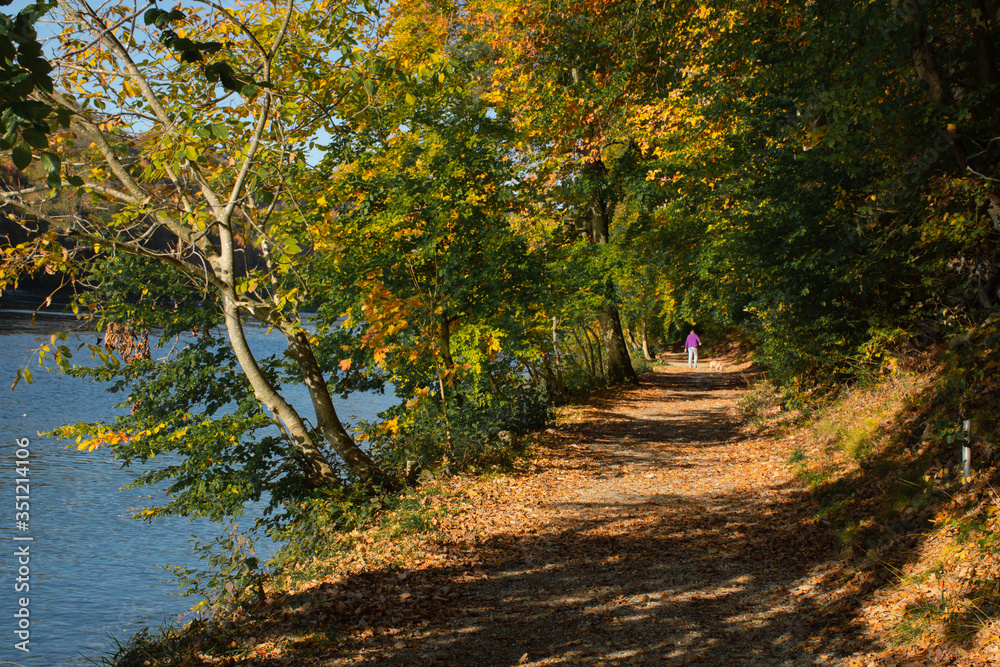 man is walking with a dog in autumn park by the river Switzerland October 2018 man is walking with a dog in autumn park by the river Switzerland October 2018