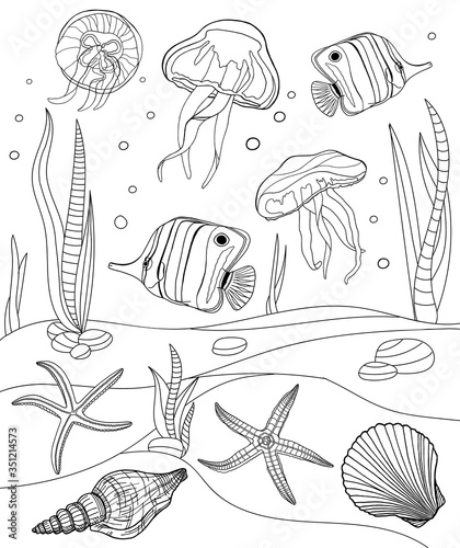 Coloring pages. Tropical fish, seashell, jellyfish and starfish vector illustration. Outline underwater scene. Black and white exotic marine bottom life. Cartoon doodle butterflyfish and shells