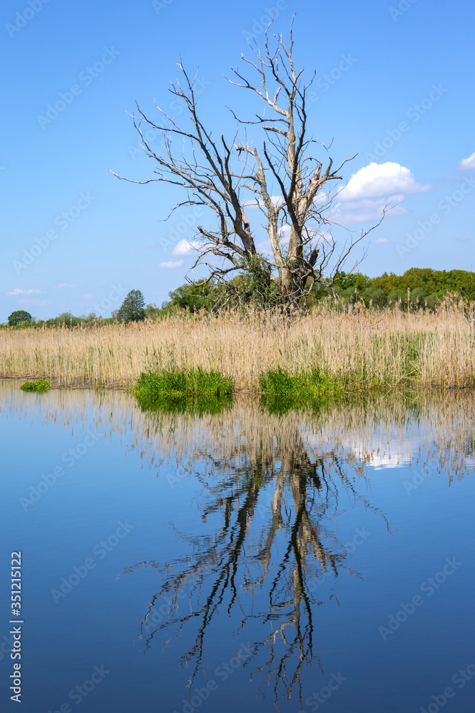 View of a peaceful river landscape. Everything is reflected in the calm water.