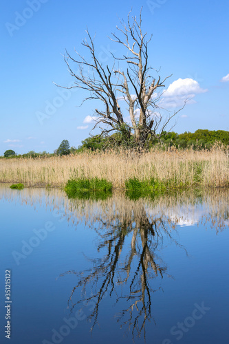 Obraz na płótnie View of a peaceful river landscape. Everything is reflected in the calm water. w salonie