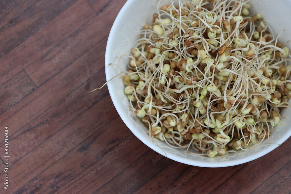 Germinated or sprauted beans in white bowl Germinated or sprauted beans in white bowl