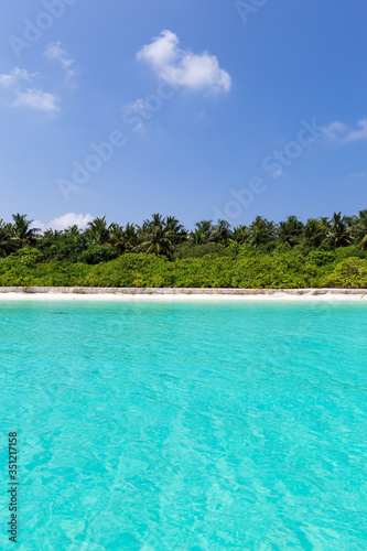 Sea with coconut palms island