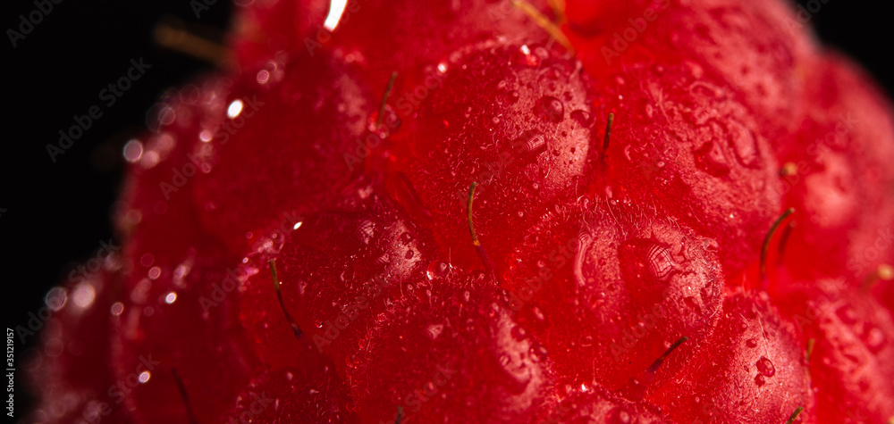 One fresh raspberry closeup on a black background isolated. Detailed shoot