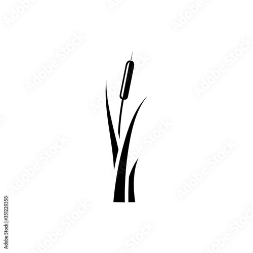 reed icon