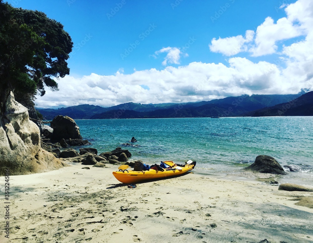 The Beach in New Zealand