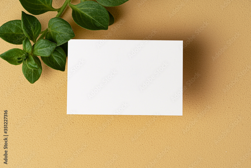 Blank white business card with copy space for your design Blank white business card with copy space for your design