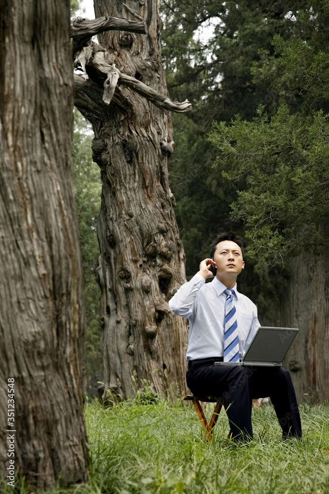 Fototapeta premium Businessman talking on the phone while using laptop