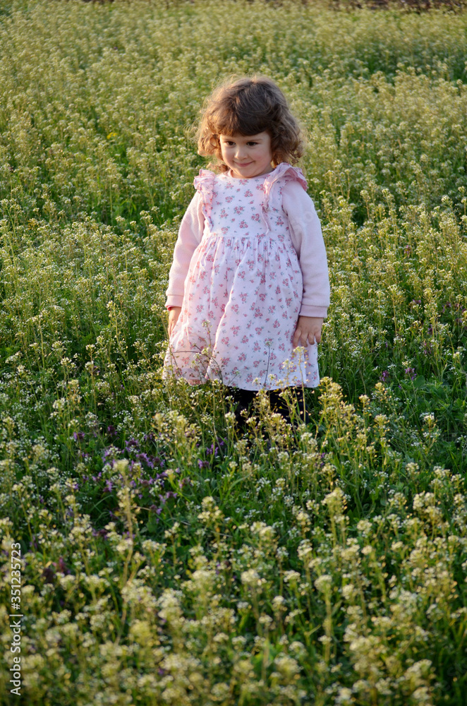 Cute Toddler Girl in a Meadow with Blooming Spring Flowers at Sunset 