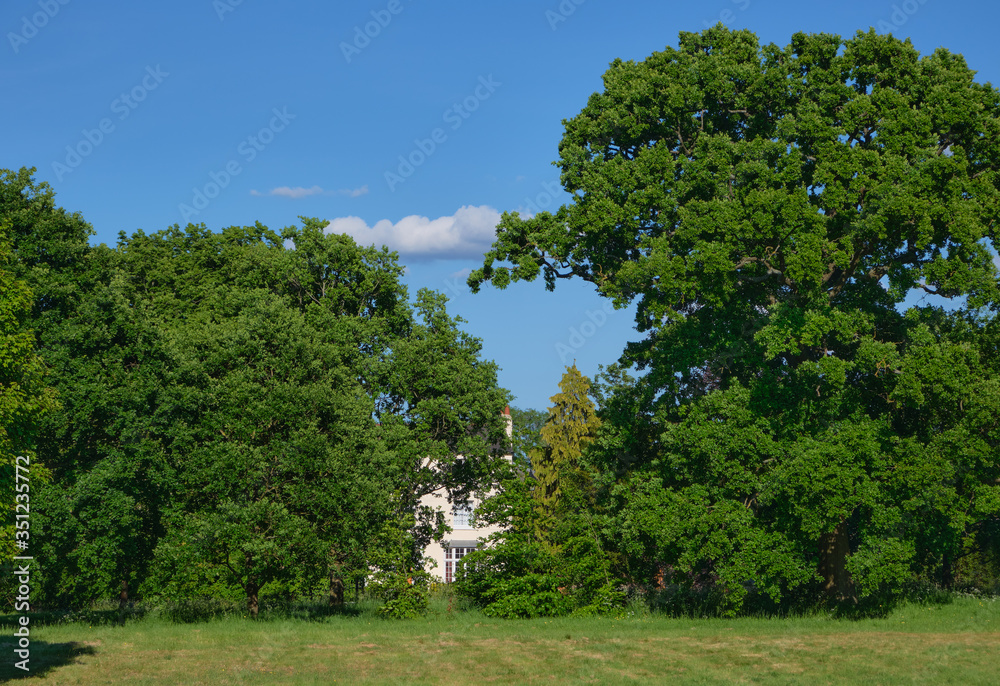 View of meadow with trees against blue sky with cloud.