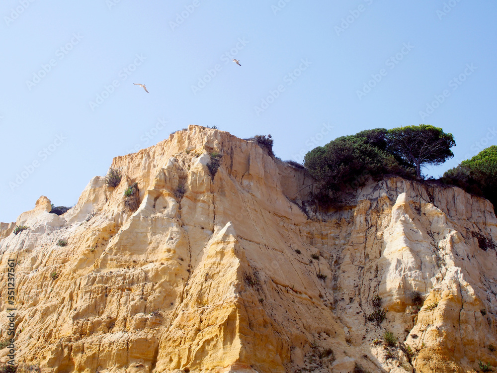 The seagulls are flying above the cliffs on a sunny day.
Mazagón beach, Huelva, Spain. 
august 2012 
