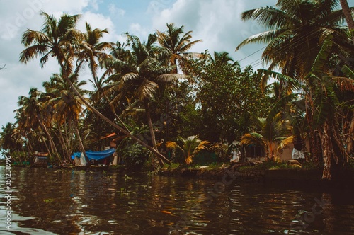 Palm trees and boats in the backwaters of Kerala  India