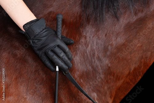 Detail of brown horse with riders hand in black gloves gently laid on its neck, holding reins and riding whip