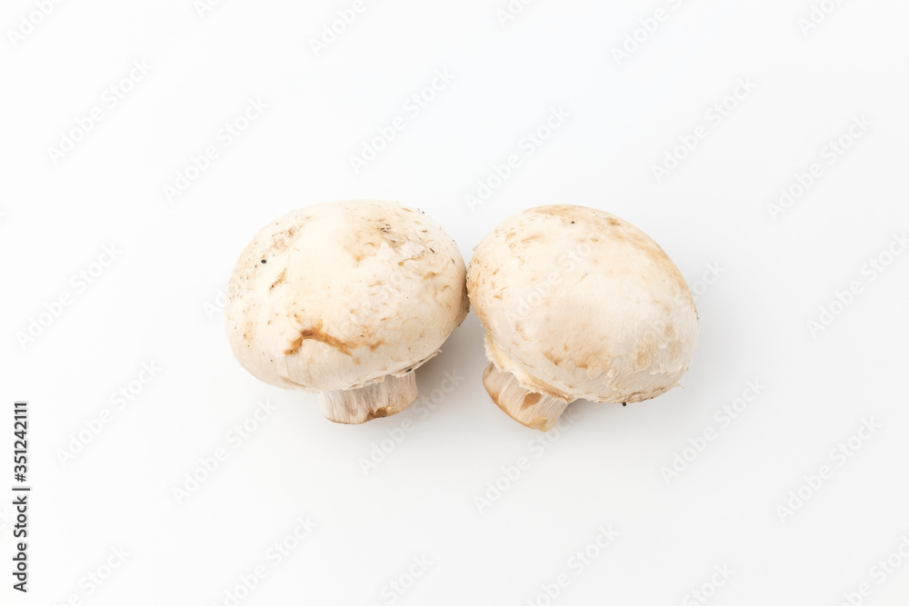 Button mushroom on white background Button mushroom on white background