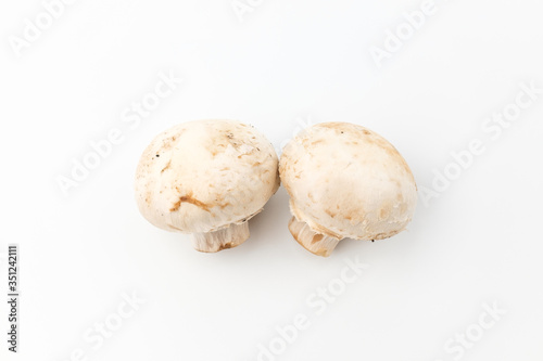Button mushroom on white background
