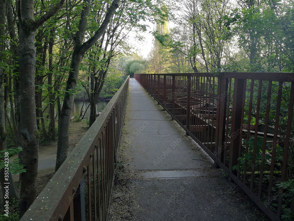 footbridge bridge path and green trees in spring
