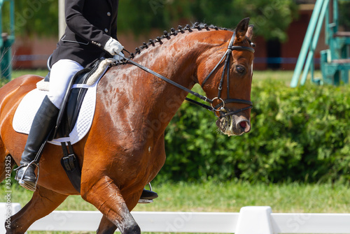 Dressage horse and rider