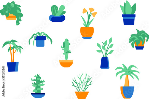 Set of vector illustrations indoor flowers. Floral set in flat style. Flower pots icons for posters, decoration and applications.