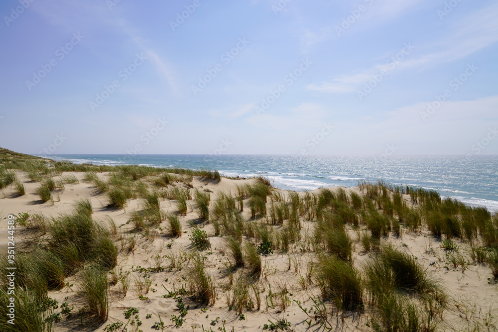 natural dunes in Le porge sand beach in summer day France