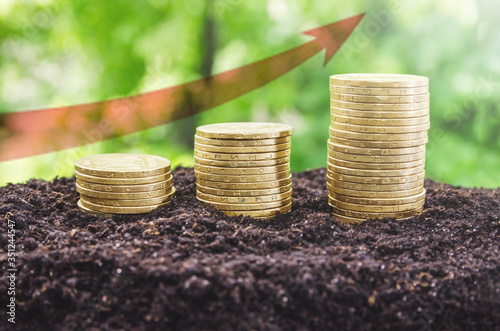 stacks with golden coins are piled on the soil and natural sunlight with the concept of saving money, growing economics. Growth graph on the background of coins.