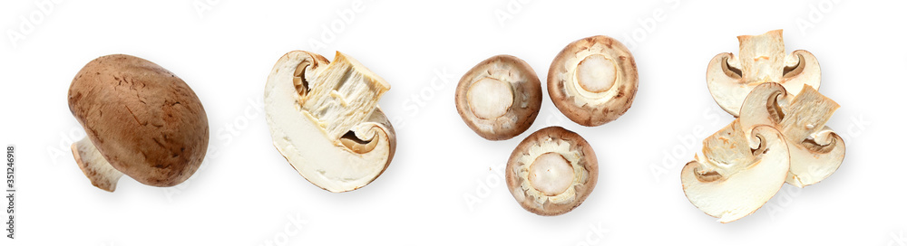 Set of fresh whole and sliced royal mushrooms mushrooms isolated on a white background. View from above Set of fresh whole and sliced royal mushrooms mushrooms isolated on a white background. View from above