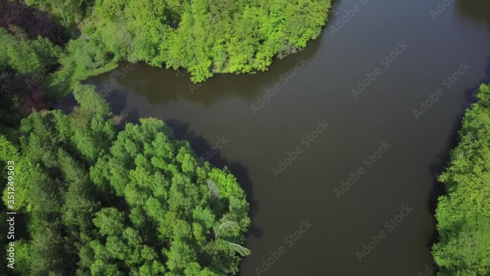 Belgique Wallonie Ardenne Bois foret lac etang eau planete