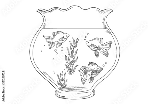 金魚鉢と金魚のベクターイラスト（線画）