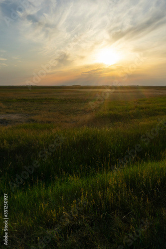 sunset over the field