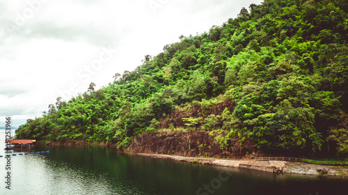 The trees. Mountain on the island and rocks. Jungles, trees, river. Mangrove landscape. Thailand