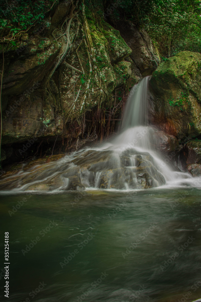 Obraz premium Hidden Waterfall in the Forest