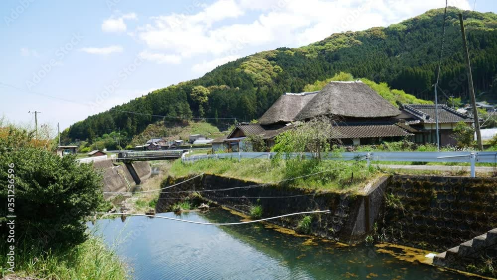 Saga, Japan, nature, woods, green, summer, park, sunny, forest, footpath, scenic, beautiful, trail, sun, path, road, wilderness, sunny, walking, hiking, tree, root, perspective, lane, track, foliage, 