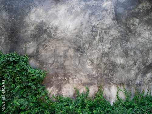 Background image of cement wall and leaves
