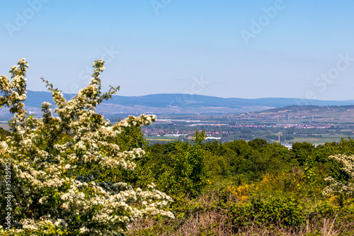 Wide angle view at landscape from Rotenfels, Bad Muenster am Stein photo