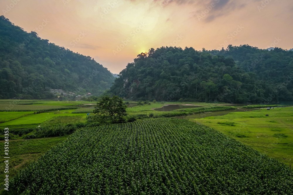 Obraz premium typical Vietnamese landscape in spring in Ba Be Lake