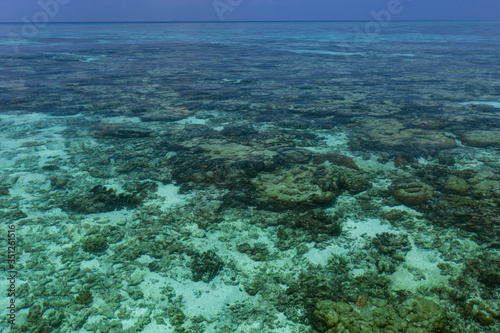 Fototapeta Naklejka Na Ścianę i Meble -  Indian ocean with coral reefs