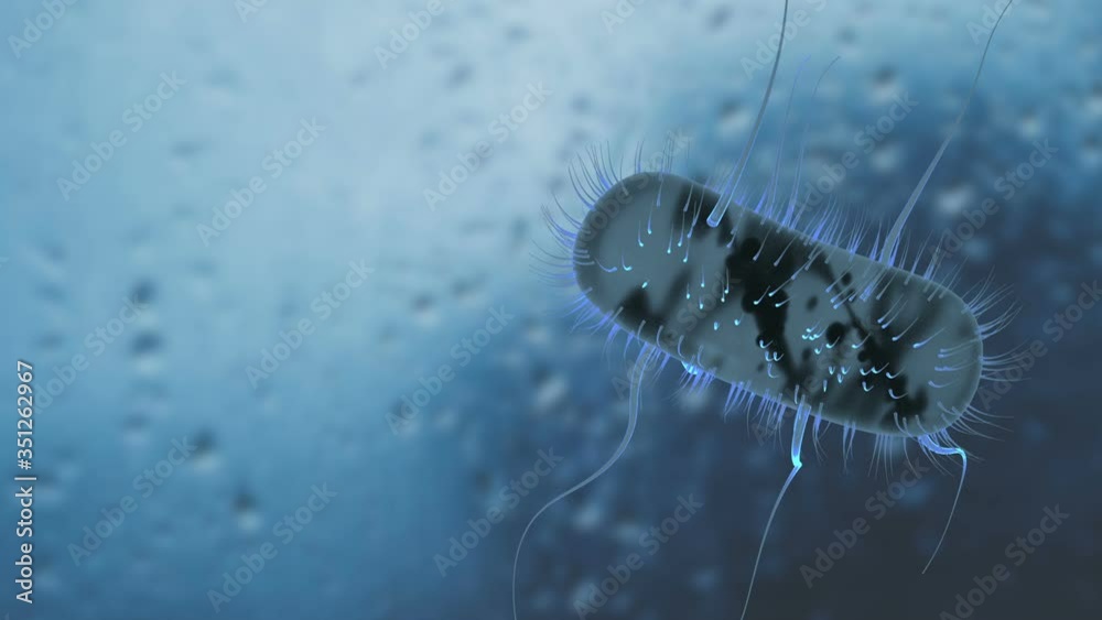 Bacteria in motion E. coli bacteria. beautiful 3d animation with a ...