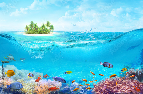 Animals of the underwater sea world. A beach on a tropical island. Colorful tropical fish. Life in the coral reef.