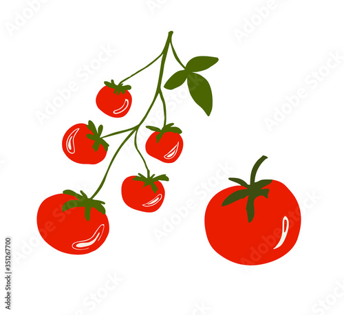 Red cherry tomatoes on a branch, isolated vector on white background. 