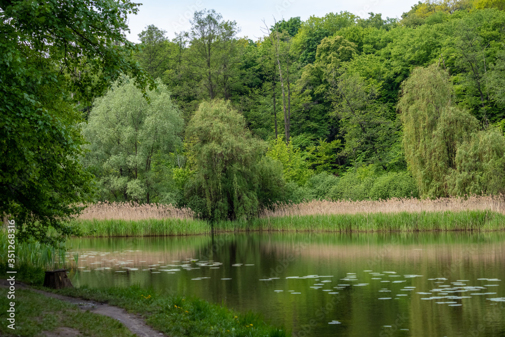 Beautiful lake with green leaves of water lilies. Beautiful lake with green leaves of water lilies.