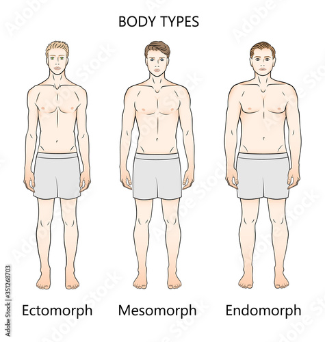 Human body types. Three figures. Forms: ectomorph, mesomorph and endomorph.
